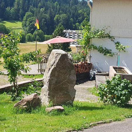 Ferienhof Ziegler- Sonnenschein Baiersbronn Kültér fotó