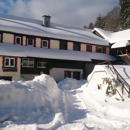 Ferienhof Ziegler- Sonnenschein Baiersbronn Kültér fotó