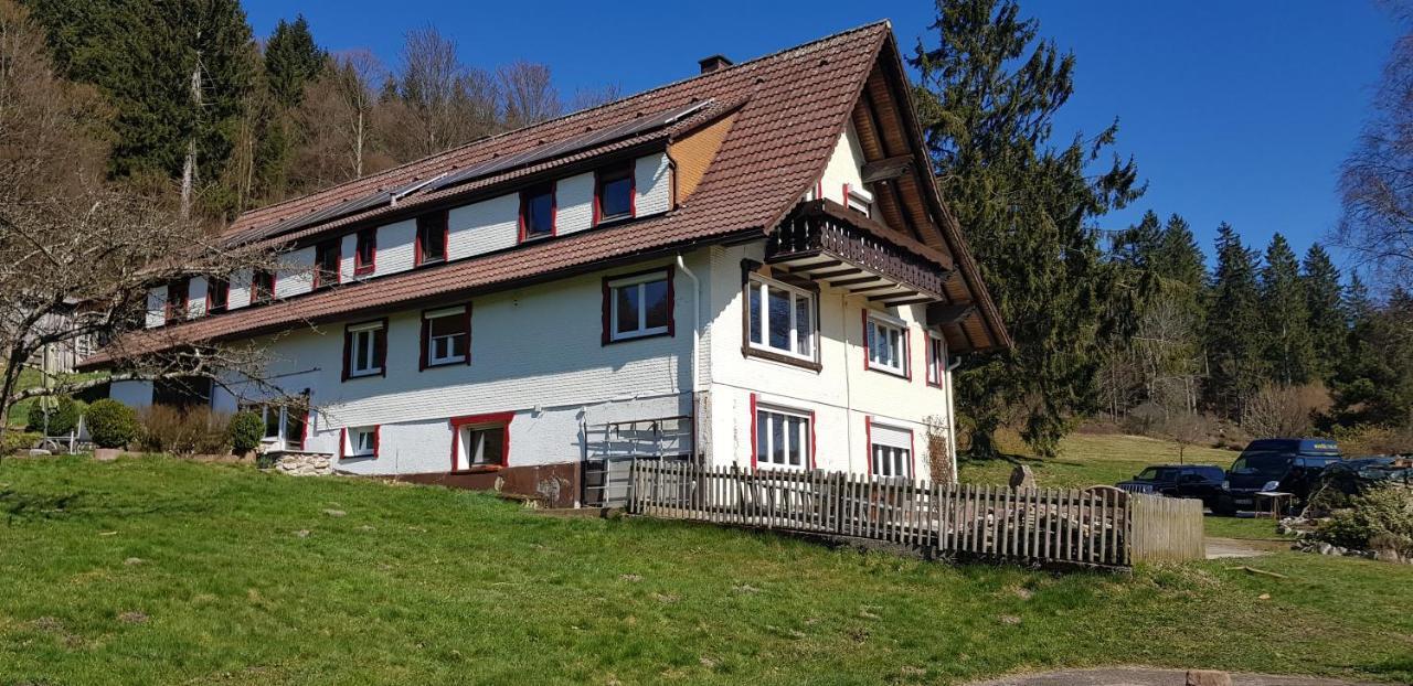 Ferienhof Ziegler- Sonnenschein Baiersbronn Kültér fotó