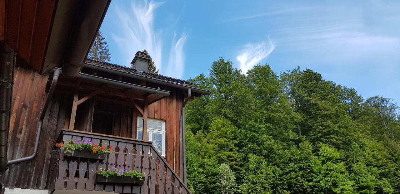 Ferienhof Ziegler- Sonnenschein Baiersbronn Kültér fotó