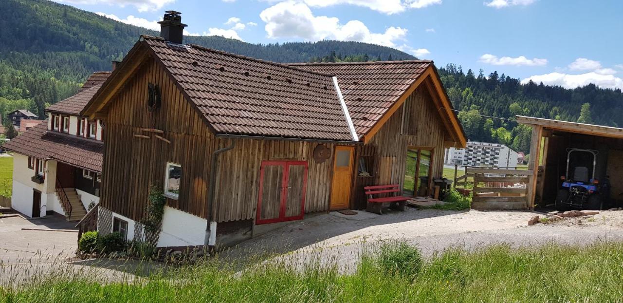 Ferienhof Ziegler- Sonnenschein Baiersbronn Kültér fotó