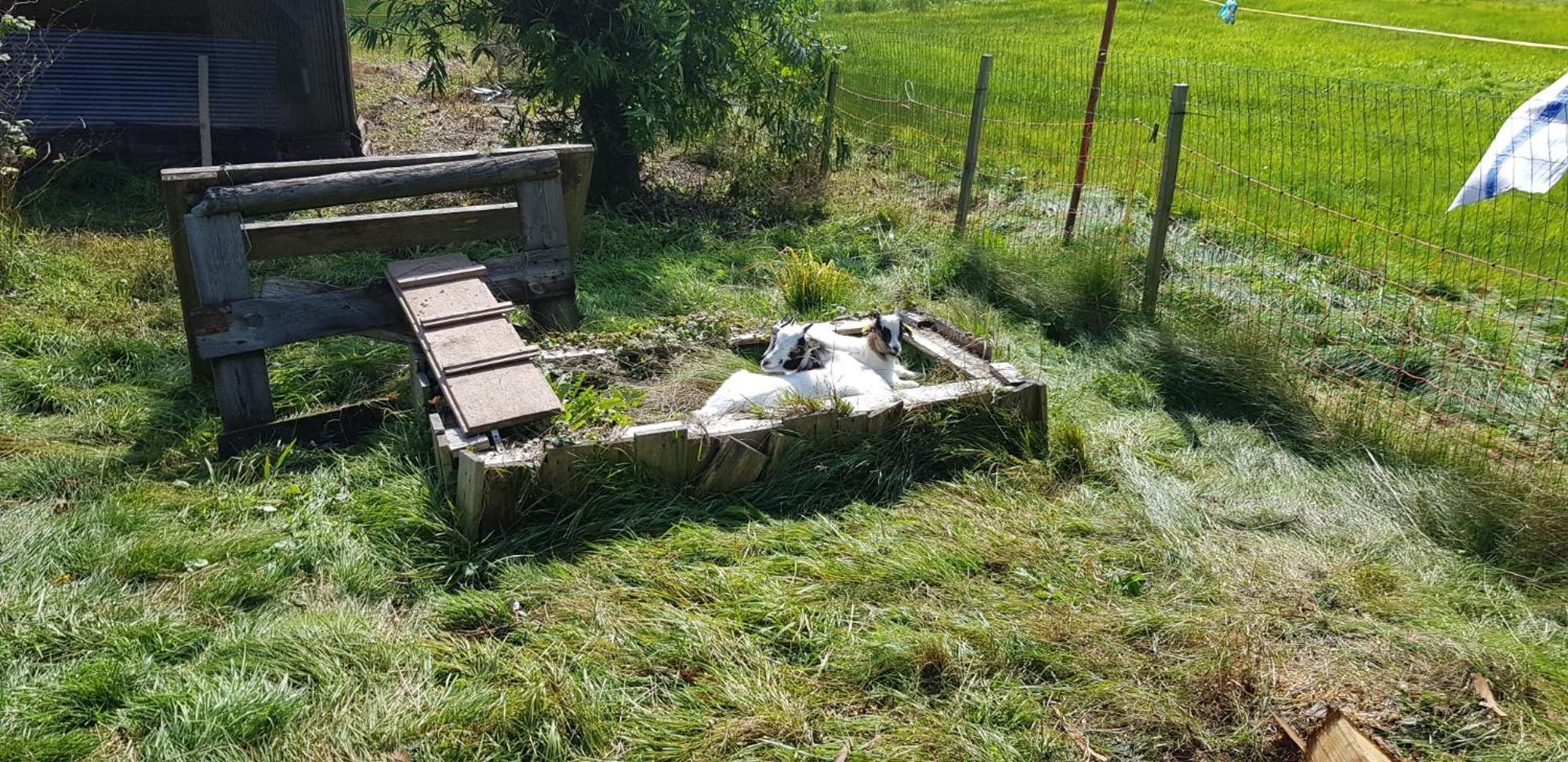 Ferienhof Ziegler- Sonnenschein Baiersbronn Kültér fotó